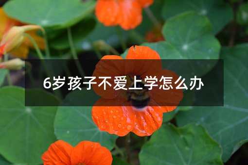 6岁孩子不爱上学怎么办