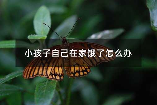 小孩子自己在家饿了怎么办