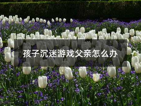 孩子沉迷游戏父亲怎么办