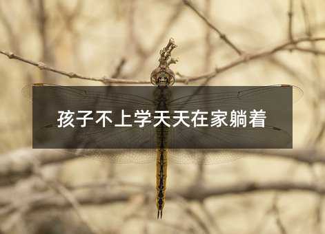 孩子不上学每天在家躺着