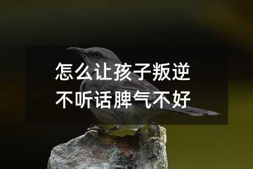 怎么让孩子叛逆不听话脾气不好