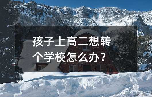 孩子上高二想转个学校怎么办?