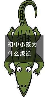 СΪʲô
