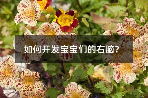 怎么样开发孩子们的右脑？