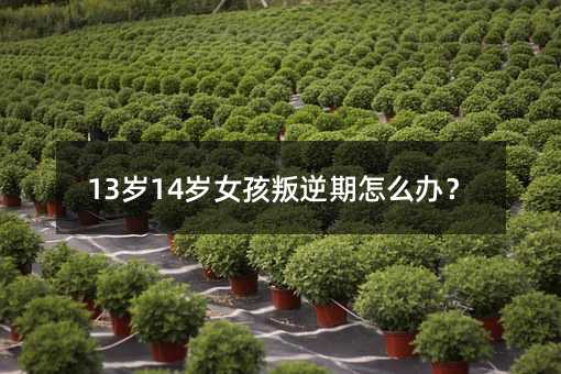 13岁14岁女孩叛逆期怎么办?
