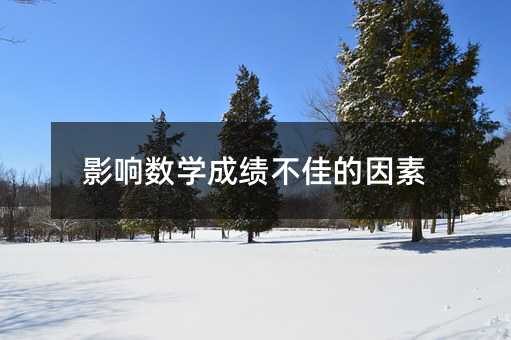 影响数学成绩不佳的因素