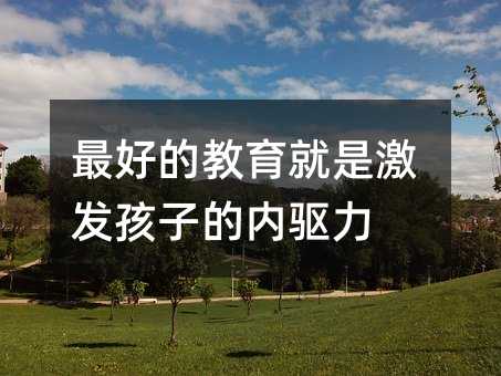 最好的教育就是激发孩子的内驱力