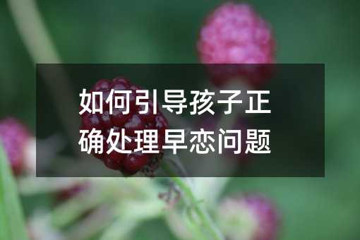 如何引导孩子正确处理早恋问题