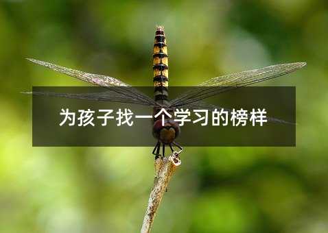 为孩子找一个学习的榜样