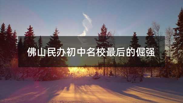 佛山民办初中名校最后的倔强