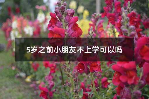 5岁之前小朋友不上学可以吗