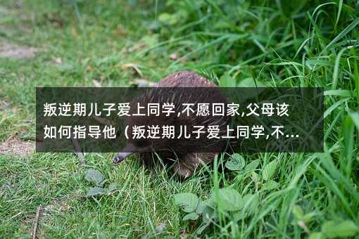 叛逆期儿子爱上同学,不愿回家,父母该如何指导他(叛逆期儿子爱上同学,不愿回家,父母该如何指导他们)