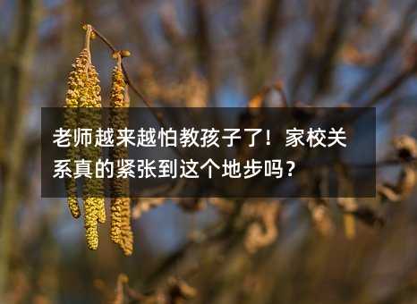 ʦԽԽ½̺ˣУϵĽŵز