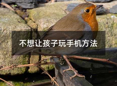 不想让孩子玩手机方法