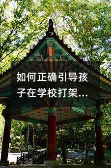 如何正确引导孩子在学校打架的问题