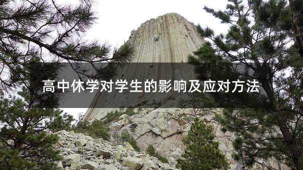 高中休学对学生的影响及应对方法