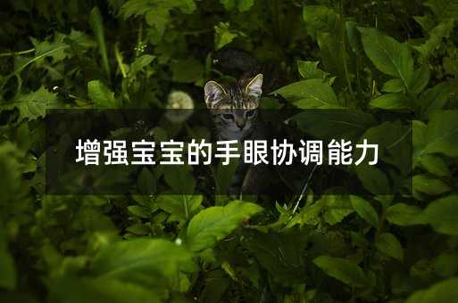 增强宝宝的手眼协调能力
