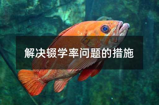 解决辍学率问题的手段