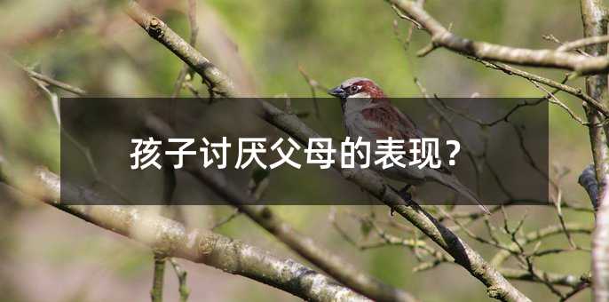 孩子讨厌父母的表现?