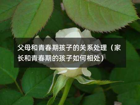 父母和青春期孩子的关系处理(家长和青春期的孩子如何相处)