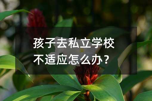 孩子去私立学校不适应如何解决？