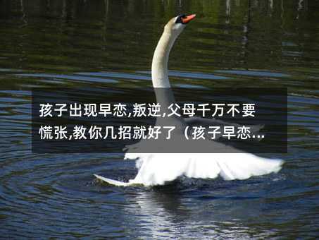 ӳ,,ĸǧҪ,㼸оͺˣô죩