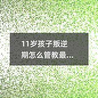 11꺢ôܽʣ