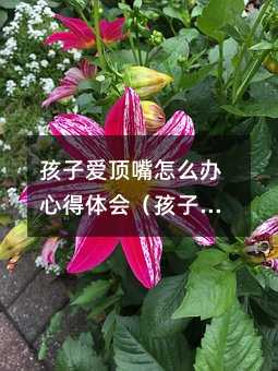 孩子爱顶嘴怎么办心得体会(孩子爱顶嘴怎么办家长课程)