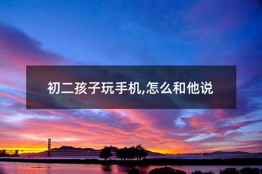 初二孩子玩手机,怎么和他说
