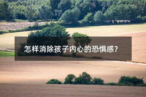 怎样消除孩子内心的恐惧感?