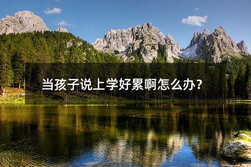 当孩子说上学好累啊如何解决？