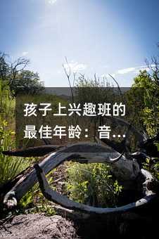 Ȥ䣺