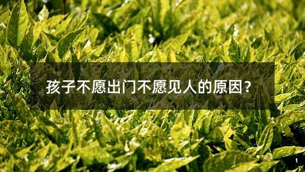 孩子不愿外出不愿见人是什么原因？