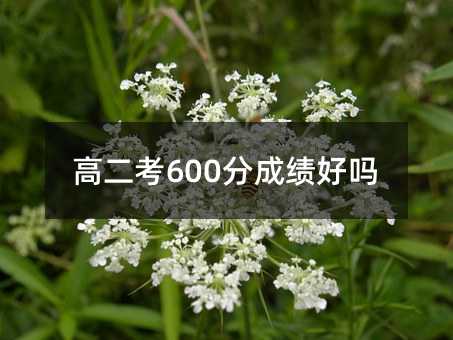 ߶600ֳɼ
