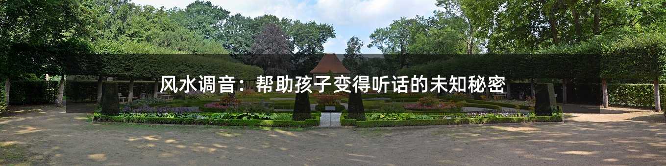 风水调音:帮助孩子变得听话的未知秘密