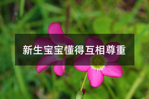 新生孩子了解互相尊重