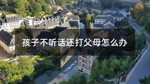 孩子不听话还打父母怎么办