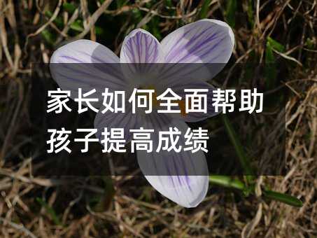 家长如何全面帮助孩子提高成绩