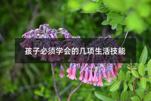 孩子必须学会的几项生活技能