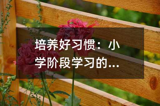 培养好习惯:小学阶段学习的关键