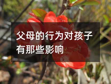 父母的行为对孩子有那些影响