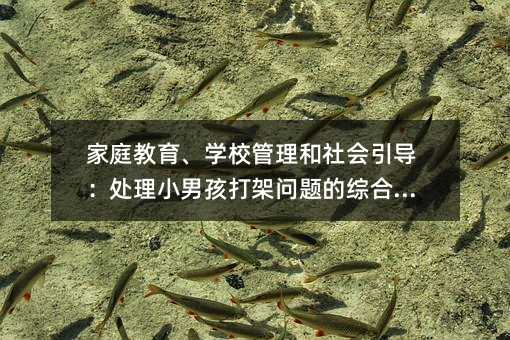 家庭教育、学校管理和社会引导:处理小男孩打架问题的综合方法
