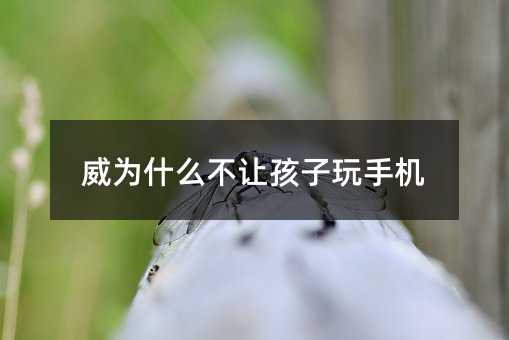 威为什么不让孩子玩手机