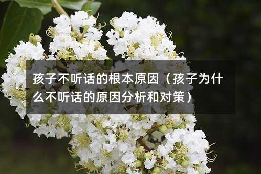 孩子不听话的根本原因(孩子为什么不听话的原因分析和对策)