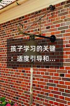 孩子学习的关键:适度引导和全面发展