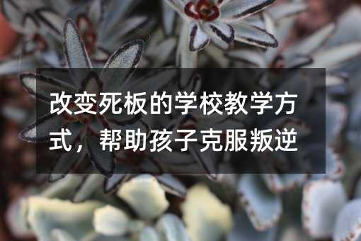 改变死板的学校教学方式,帮助孩子克服叛逆