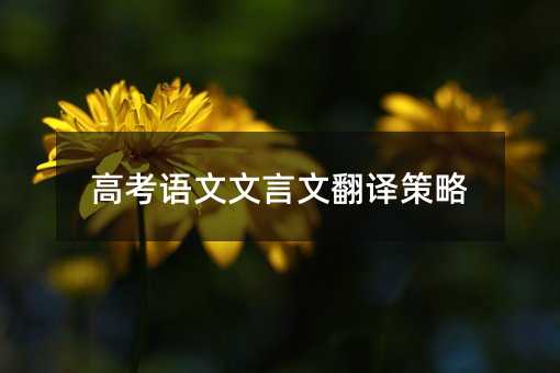 高考考试语文文言文翻译方案