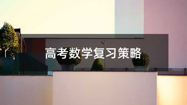 高考数学复习策略