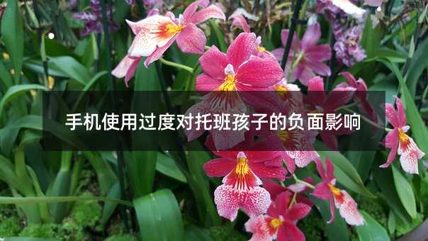 手机使用过度对托班孩子的负面影响