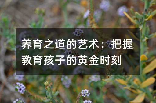 养育之道的艺术:把握教育孩子的黄金时刻